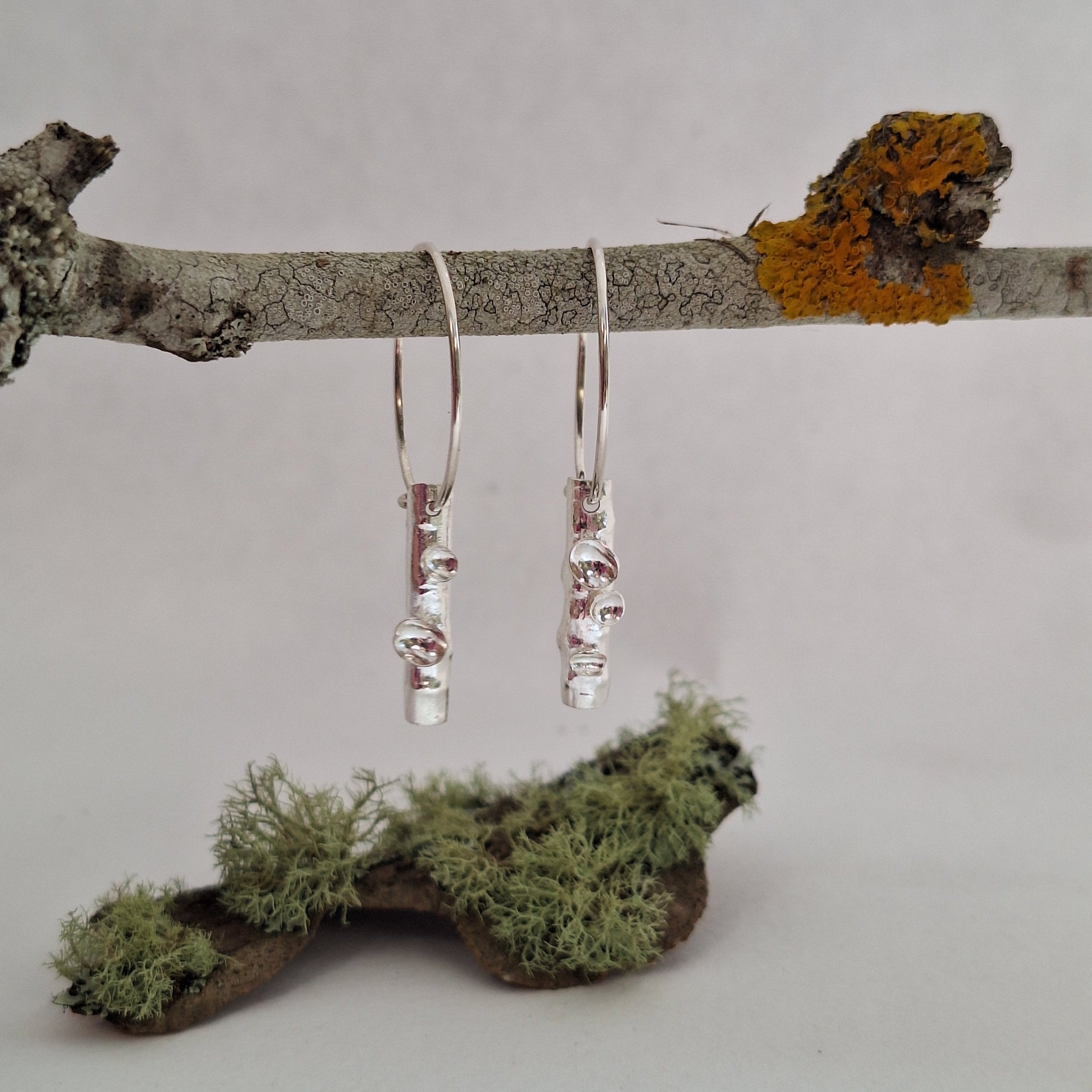 twig earrings with lichen structures in sterling silver on branch