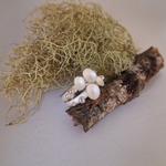 Load image into Gallery viewer, Forest Lichen Ring
