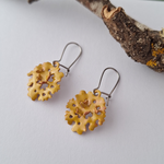 Load image into Gallery viewer, Foliose lichen earrings colourful
