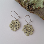 Load image into Gallery viewer, Foliose lichen colourful earrings
