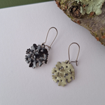 Load image into Gallery viewer, Foliose lichen colourful earrings
