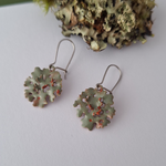 Load image into Gallery viewer, Foliose lichen colourful earrings
