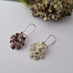 Load image into Gallery viewer, colourful foliose lichen earrings
