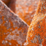 Load image into Gallery viewer, Bay of Fires Necklace No.2
