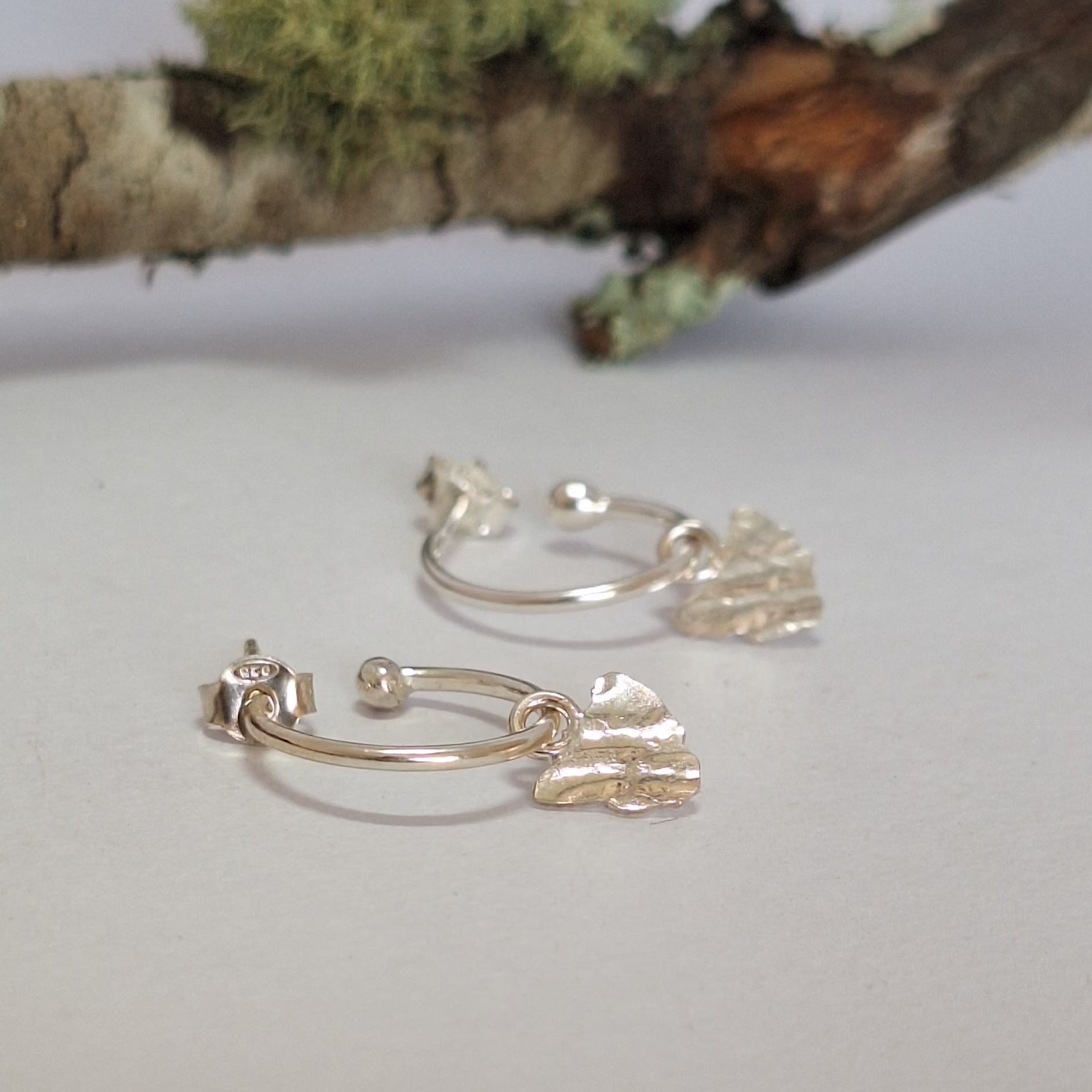 Sterling Silver Tasmania Hoop earrings on a white surface with a lichen branch in the background.